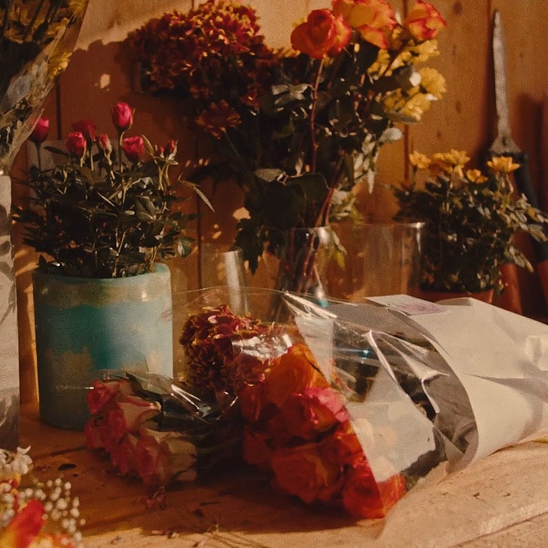 Les Couronnées, cinematography by Grégoire De Lillo